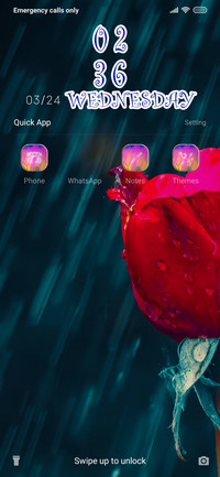 Rainy Rose