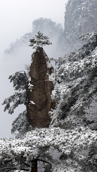 冬韵黄山 人间仙境