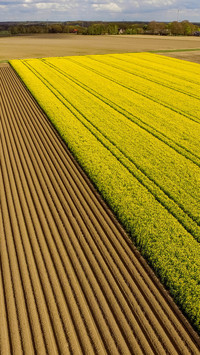 Wide fields