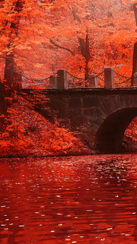 Beginning of Autumn