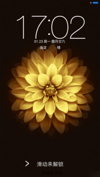 绽放