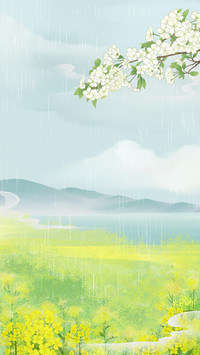 油菜花是春天的浪漫