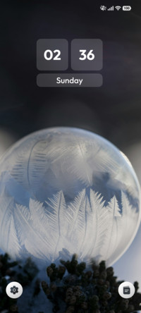 Frozen Jewel