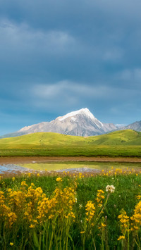 Western Sichuan Plain Flower Season Tour 5