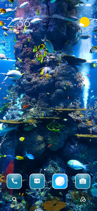 Aquarium