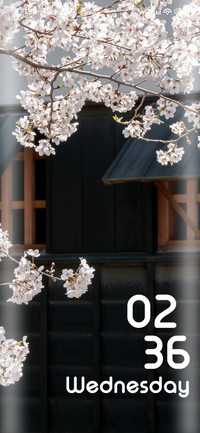 Flower Blossom