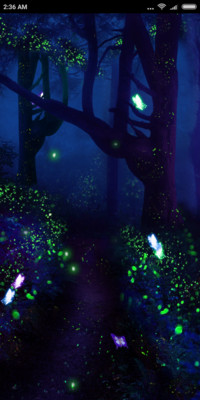 Firefly Forest