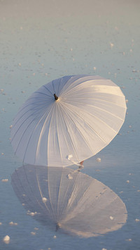 VCG41165820350