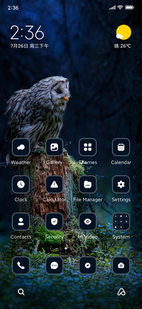 Owl