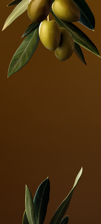 东方美学