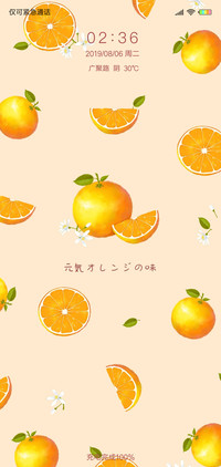1元气橙之味