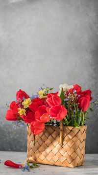 Blossom of spring flowers