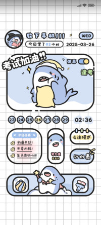 鲨鱼学习计划
