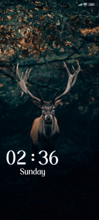 Wildlife