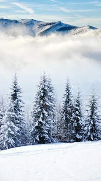 Snow and ice beauty