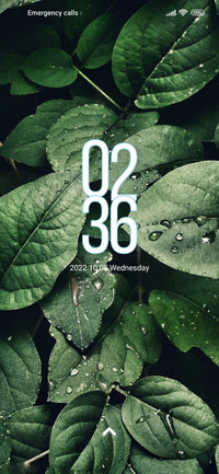 Classic_Calm