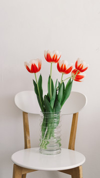 Red tulips on a white chair in the living room