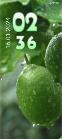 Rain lemon