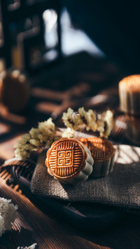 Mid-autumn Moon Cake