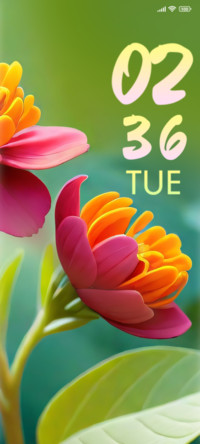 colorful flowers