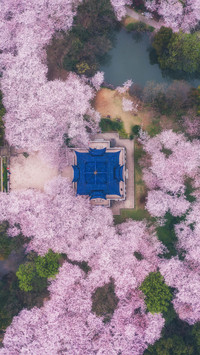 江苏踏青攻略