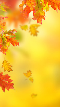 Autumn style