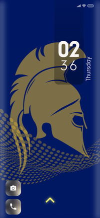 Cricket_15