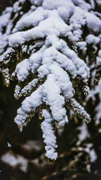 133883_1440x2560.jpg