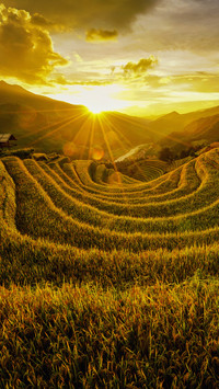 Photographers capture vietnams stunning terraced fields