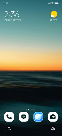 Dusky Shore