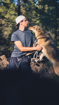 What about dogs licking people 37