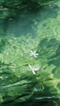 夏风携绿 偷得片刻安然