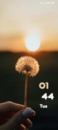 Dandelion