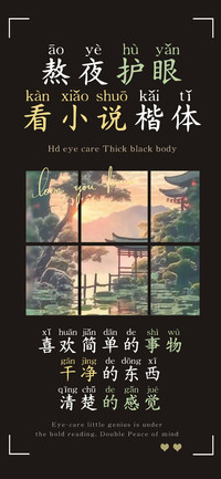 熬夜护眼看小说楷体