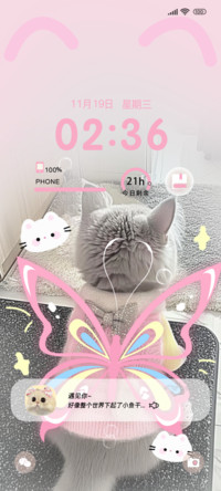 挥着翅膀的猫咪