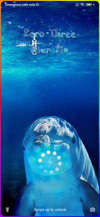 Dolphin Sea