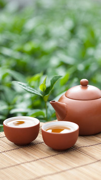 小茶壶大学问