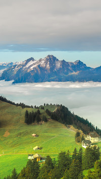 Foggy Mountain and Sea of Mist