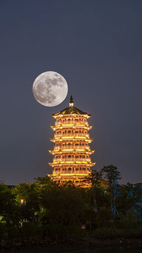 中秋节的由来和风俗