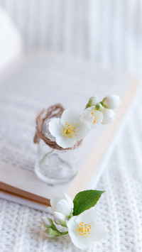 White flowers in a glass vase on an open book