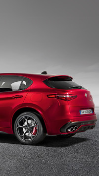 运动派Stelvio