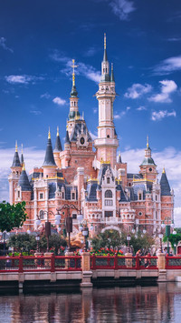 游乐园的奇妙旅行