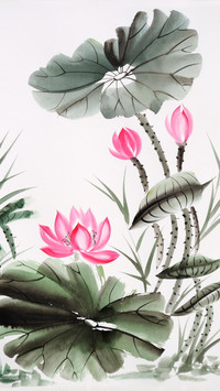 君子所爱