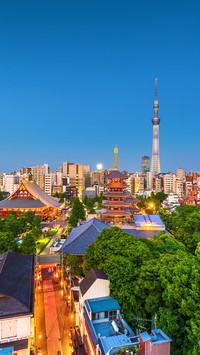 迷人夜色-拍信图库