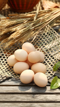 Benefits of eating eggs 50