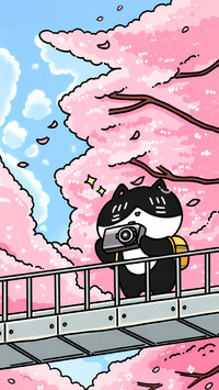 黑猫的生活漫游录