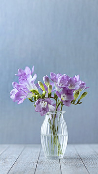 Things that make flowers grow wildly 86