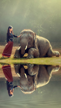 international_animal (1)