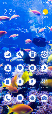 Sea fish_3MDS