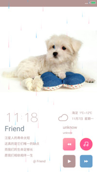 致你的汪星人+多壁纸+自由桌面+下雨